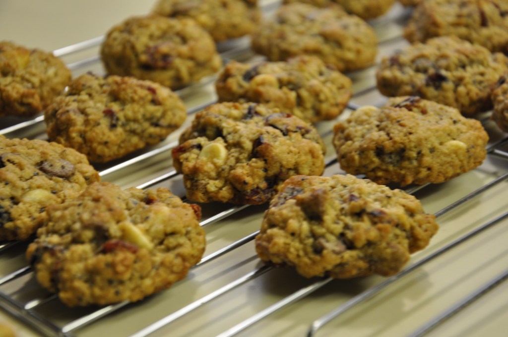 Nom of the Month – Oatmeal Chia Cranberry Chocolate Chip Cookies