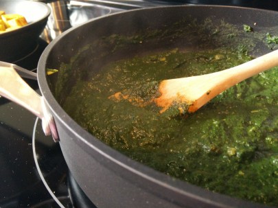 IMG_20150816_091938 (2)