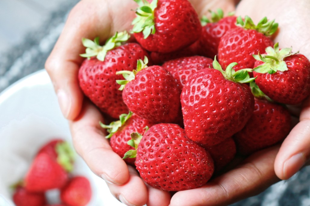 Dietitian hand holding red strawberries